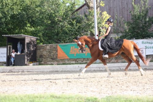 2026.RoyalFlash3129-SueBrunn