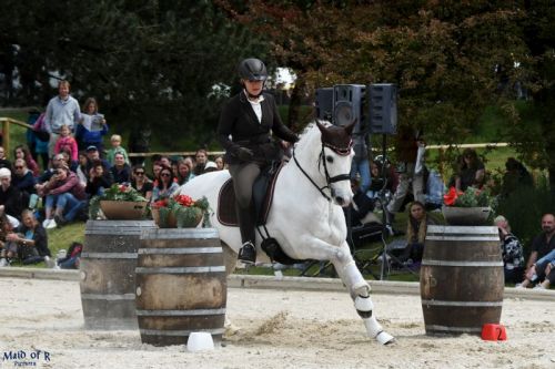 Working Equitation Martina Weteschnik